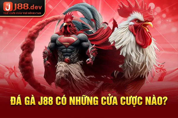 Đá gà J88 có những cửa cược nào?