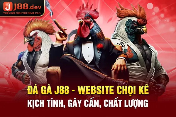 Đá Gà J88 - Website Chọi Kê Kịch Tính, Gây Cấn, Chất Lượng