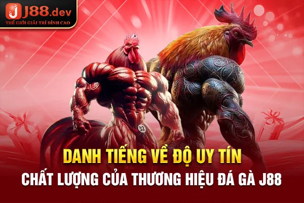 Danh tiếng về độ uy tín, chất lượng của thương hiệu đá gà J88