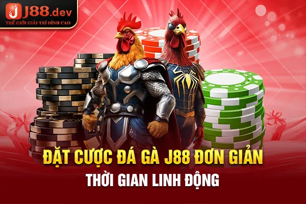 Đặt cược đá gà J88 đơn giản, thời gian linh động